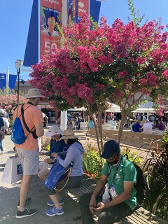 IMG 0609