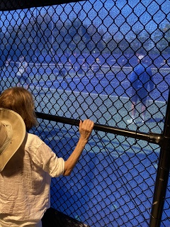 IMG 0632